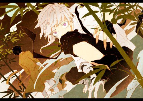 文豪野犬第一季在线观看,探秘文坛巨匠的黑暗面，热血青春的冒险之旅  第3张